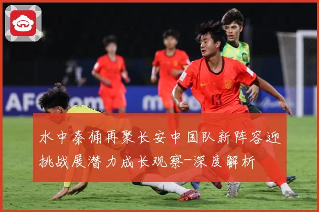 水中秦俑再聚长安中国队新阵容迎挑战展潜力成长观察-深度解析