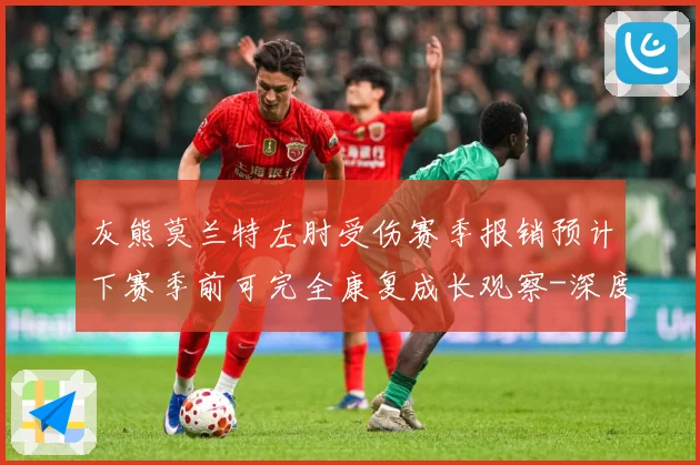 灰熊莫兰特左肘受伤赛季报销预计下赛季前可完全康复成长观察-深度解析
