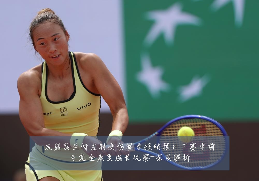 灰熊莫兰特左肘受伤赛季报销预计下赛季前可完全康复成长观察-深度解析
